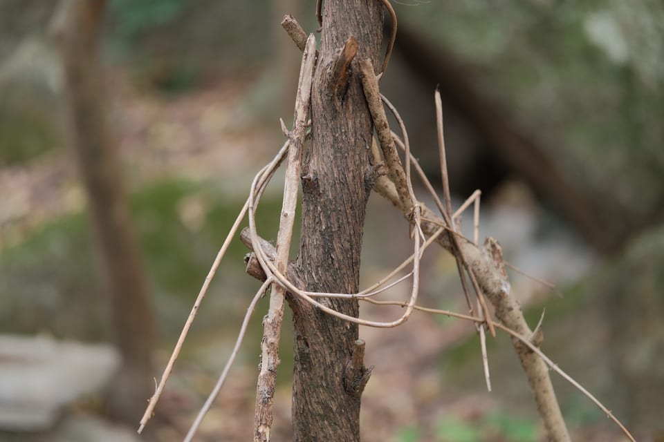 DSCF0960 1