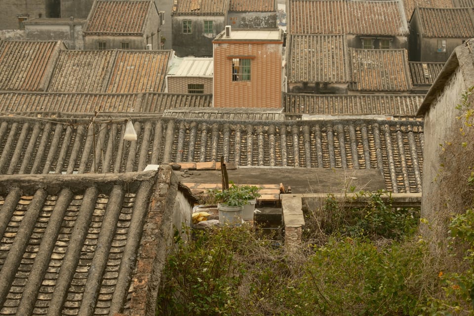 DSCF1085 1
