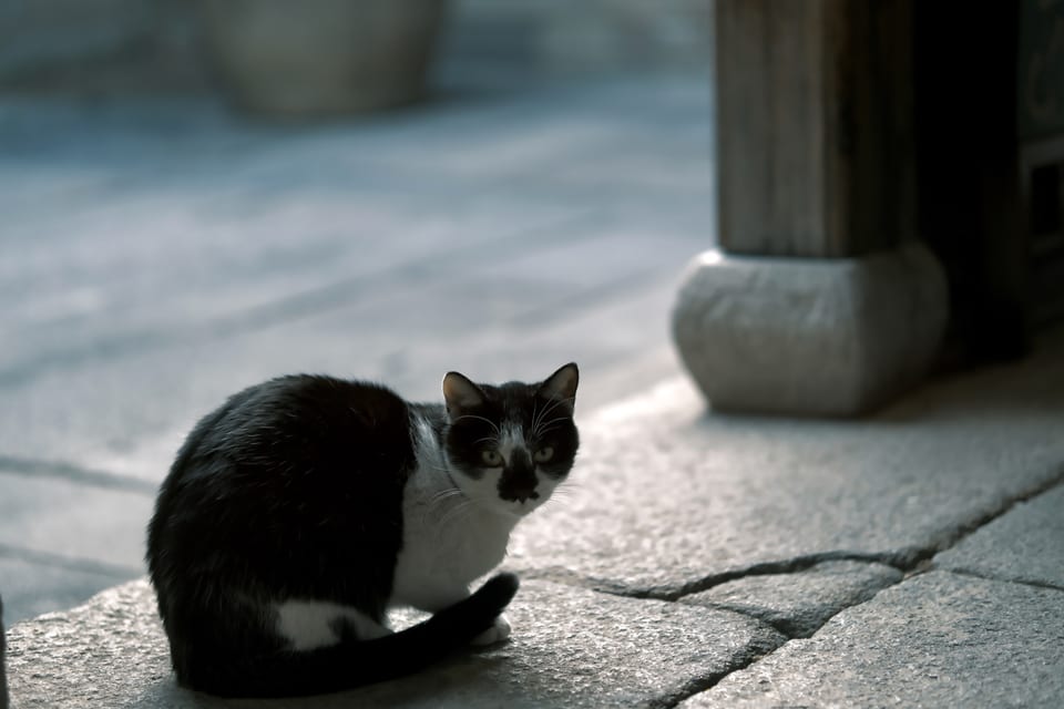 DSCF4257 1