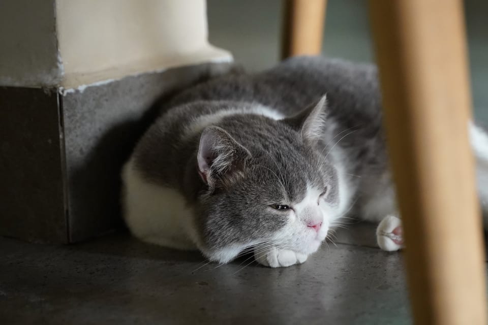 DSC02362 1