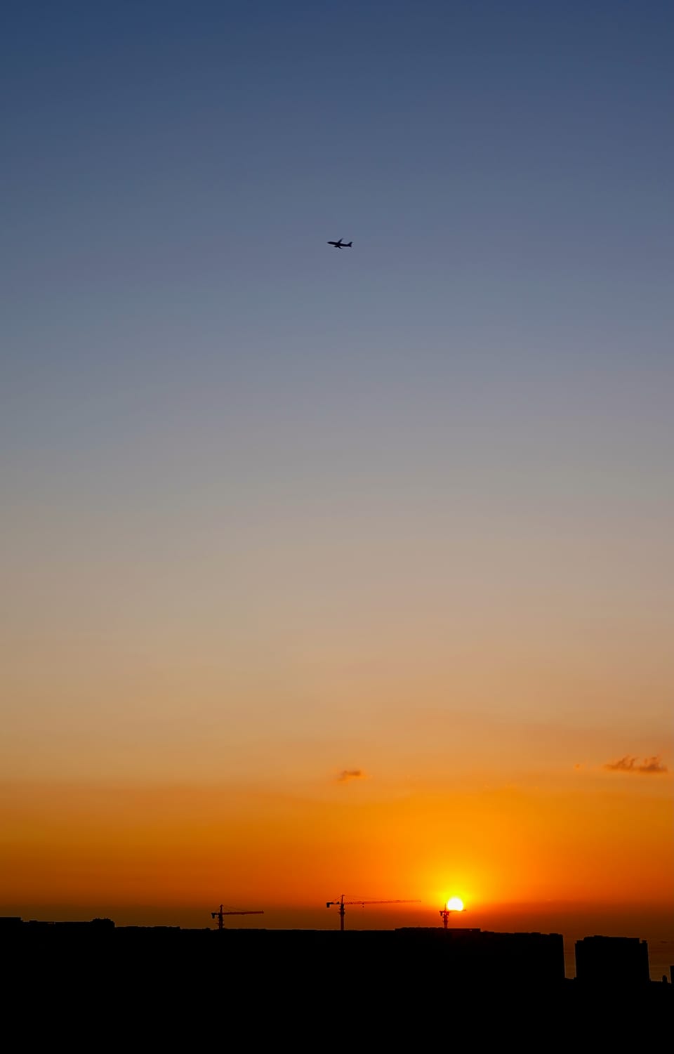 DSC02598 1